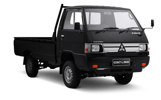 Mitsubishi L300 Tasikmalaya